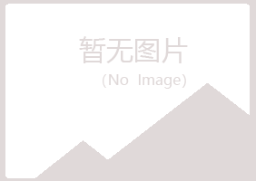 奉化埋没音乐有限公司